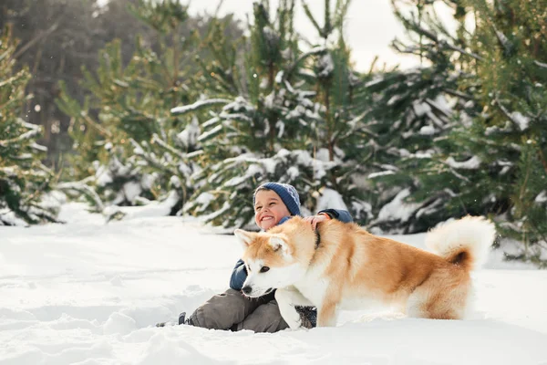 Niño Feliz Navidad Corriendo Jugando Con Perro Akita Inu Nieve —  Fotos de Stock
