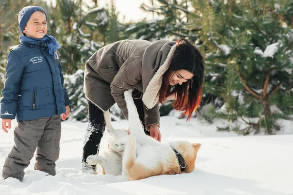 Criança Mãe Brincam Com Engraçado Cão Akita Inu Parque Inverno — Fotografia de Stock