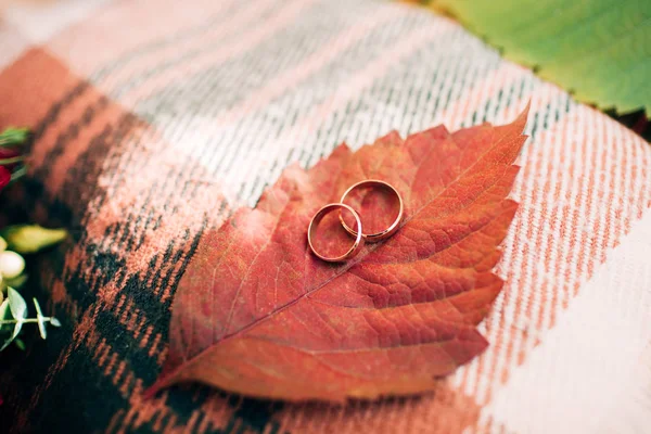 Wedding rings on autumn leaf. Accessories for the autumn wedding.