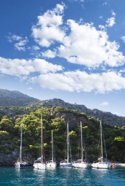 Yelkenli su fotoğrafı