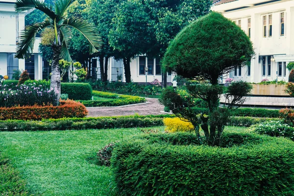 Árvores Verdes Parque — Fotografia de Stock