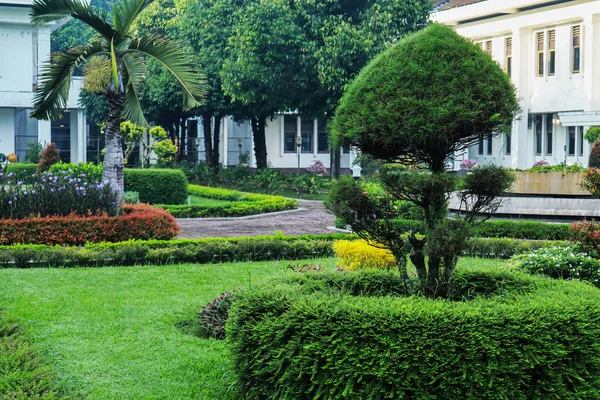 Árvores Verdes Parque — Fotografia de Stock