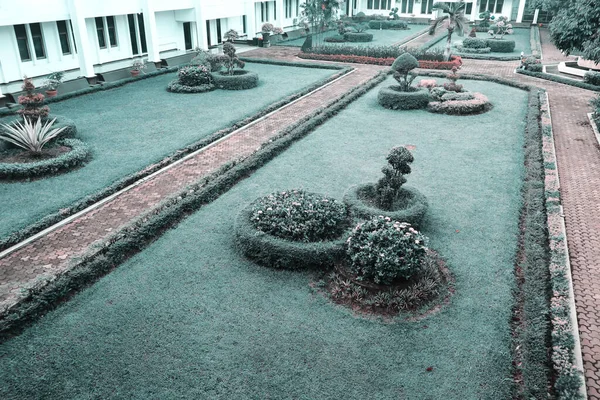 Garten Hof Des Hauses — Stockfoto