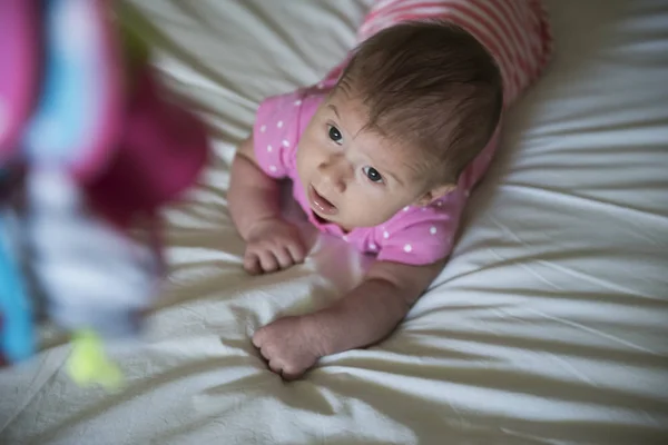 Nyfödda Som Ligger Magen Försöker Hålla Huvudet Tittar Leksaken — Stockfoto
