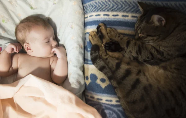 Baby Flicka Och Tamkatt Sova — Stockfoto