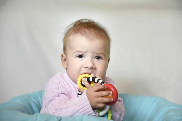 Bonito Bebê Menina Joga Com Ela Mastigar Brinquedo Para Dentes — Fotografia de Stock
