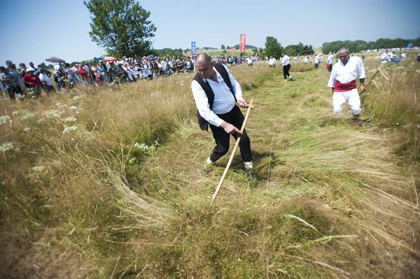 Rajac Serbia July 2015 Mowing Rajac Mountain Traditional Competiton Central — Stock Photo, Image