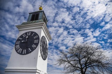 Petrovaradin Kalesi Saat Kulesi