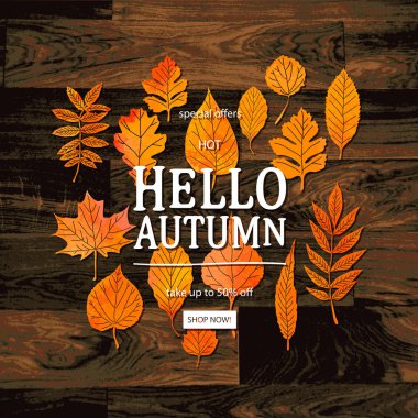 Sonbahar vektör çizim Merhaba. Sonbahar satış sezonu. Şükran tatil dekorasyon. Sonbahar yaprakları, Ahşap dokusu üzerinde yazı. Sonbahar Satılık Ahşap arka plan. Satılık Dükkan afiş.
