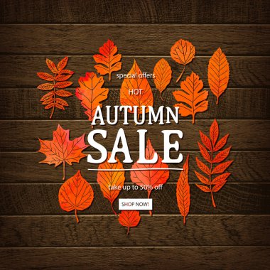 Sonbahar vektör çizim Merhaba. Sonbahar satış sezonu. Şükran tatil dekorasyon. Sonbahar yaprakları, Ahşap dokusu üzerinde yazı. Sonbahar Satılık Ahşap arka plan. Satılık Dükkan afiş.