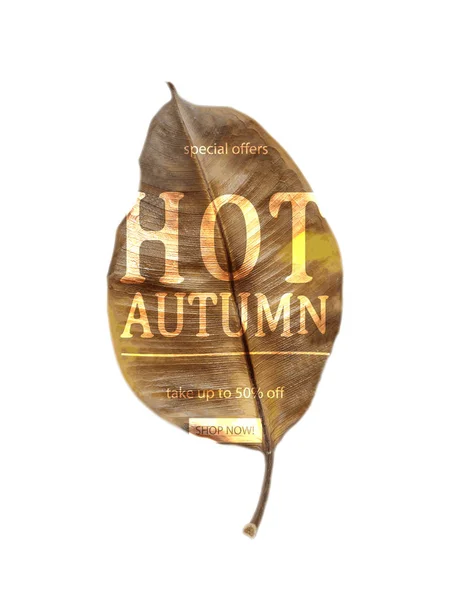 Hot Autumn sale banner — Stock Vector