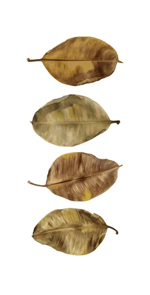 Collage grande de hermosas hojas marrones de otoño — Vector de stock