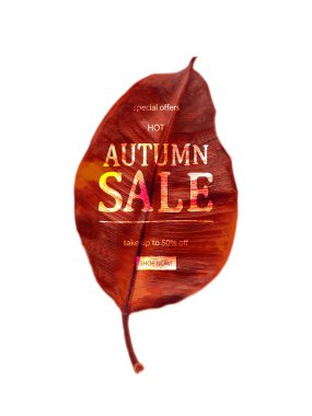 Sonbahar indirimi için renkli mevsimlik sonbahar yapraklı metin vektör pankartı beyaz arka planda indirimleri teşvik etmek için. Vektör illüstrasyonu.