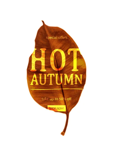 Autumn Sale Text Vector Banner Colorful Seasonal Autumn Leaves White — Stock Vector