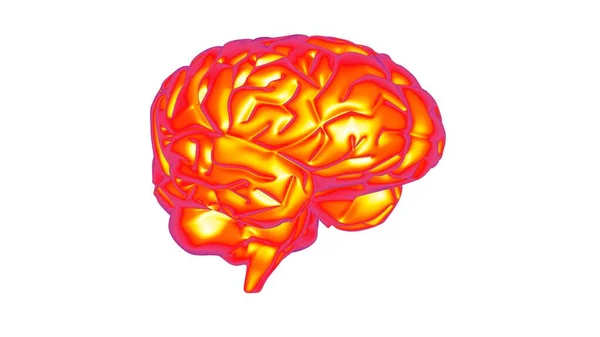 熱い脳3Dレンダリング — ストック写真