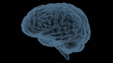 beyin gökkuşağı gradyanı oluşturucu