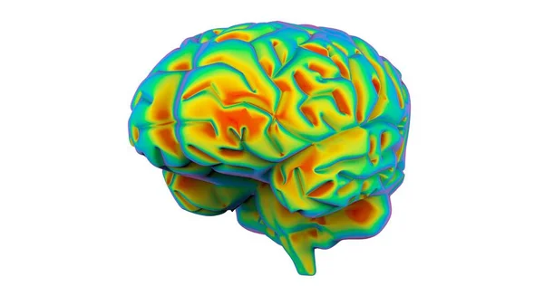 脳虹グラデーションレンダリング — ストック写真