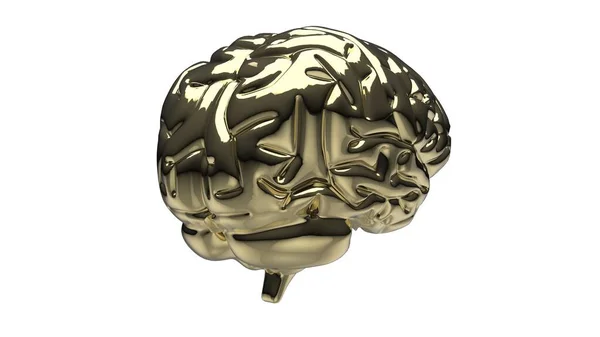 Złoty Mózg Renderowania — Zdjęcie stockowe