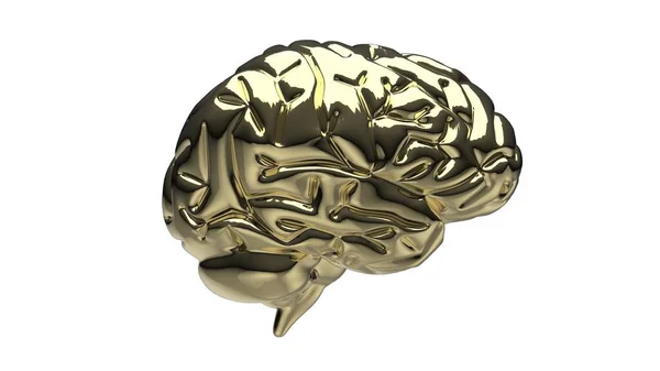 Złoty Mózg Renderowania — Zdjęcie stockowe