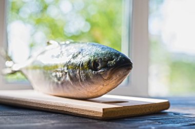 Taze deniz balık yakın çekim. Bir tabak ton balığı hazırlanması.