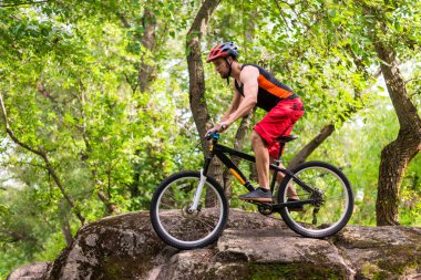 Aktif bir yaşam tarzı kayalar sürme bir bisikletçi kavramı. Güzel yaz ormanda sürme bisikletçi.