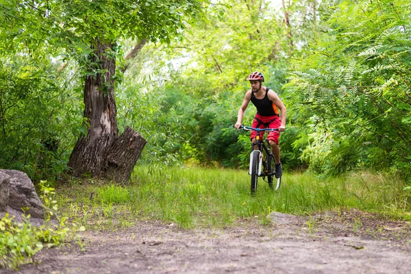 Rowerzysta Jazda Rowerze Przez Las Lato Wolnego Miejsca Aktywny Sposób — Zdjęcie stockowe