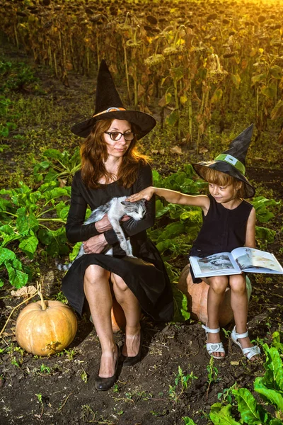 Mamá Hija Con Disfraces Bruja Están Sentadas Calabazas Leyendo Libro — Foto de Stock