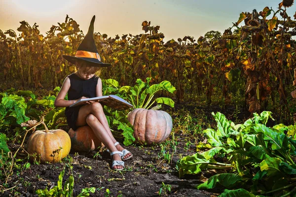 Маленька Дівчинка Костюмі Відьми Сидить Гарбузі Читає Книгу Відкритому Повітрі — стокове фото