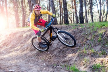 Bisiklet, ormanda bir dağ bisikleti sürme parlak giysiler bir bisikletçi. Aktif yaşam tarzı.