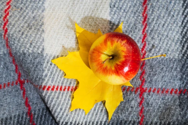 Κόκκινο ζουμερό μήλο και φθινοπωρινά φύλλα σε γκρίζο καρό, κορυφή θέα. — Φωτογραφία Αρχείου