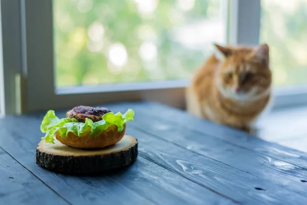 赤い猫はハンバーガーの準備を見ています. — ストック写真
