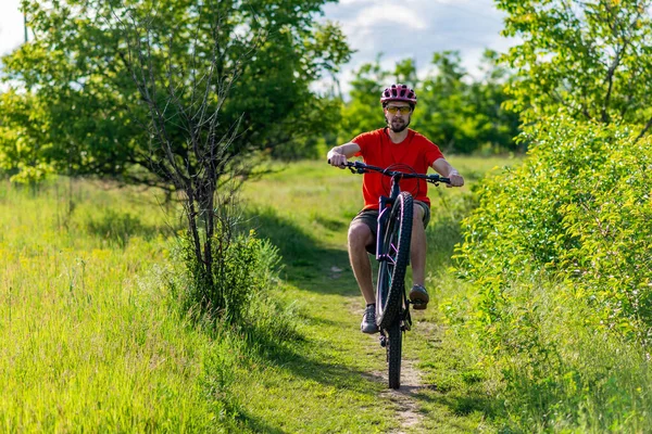 Ciclista Monta Rueda Trasera Una Bicicleta Largo Sendero Forestal Estilo — Foto de Stock