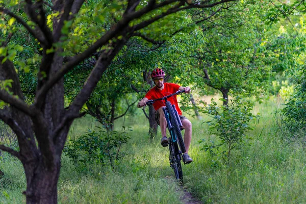 Cyklist Åker Bakhjulet Cykel Längs Skogsstig Aktiv Livsstil Extrem Balanserat — Stockfoto