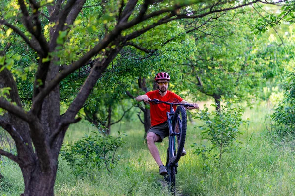 Велосипедист Едет Заднем Колесе Велосипеда Лесной Дорожке Активный Образ Жизни — стоковое фото