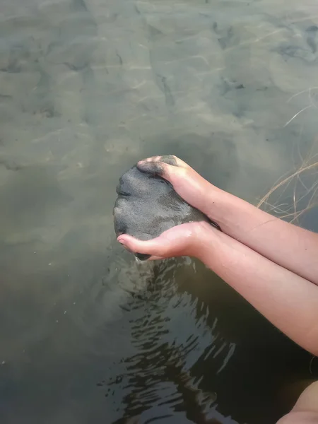 Meisje Houdt Vuil Haar Hand — Stockfoto