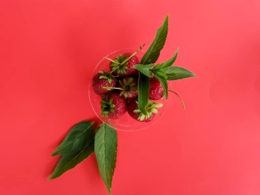 Kırmızı arka planda çilekler