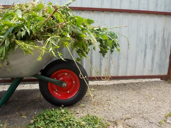 Cart Grass Street — Stock Photo, Image