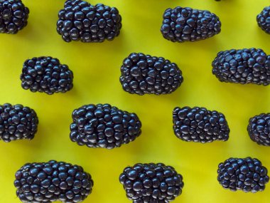           Sarı arka planda böğürtlen