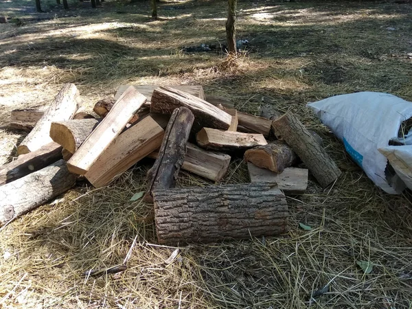 Pile Firewood Grass — Stock Photo, Image
