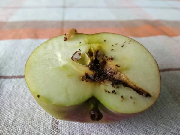 Media Manzana Con Gusano — Foto de Stock