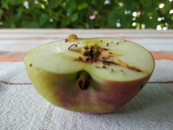 Ein Halber Apfel Mit Wurm — Stockfoto