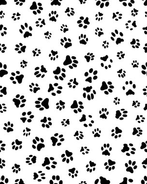 Kesintisiz beyaz bir arka plan üzerinde köpek pençeleri baskısını