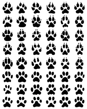 Beyaz arka planda kedi ve köpeklerin pençelerinin siyah baskısı