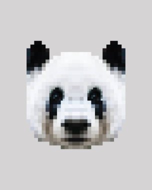 Pikseli Sibirya Pandası izole edilmiş bir vektör fotoğraf-gerçekçi illüstrasyonla karşı karşıya