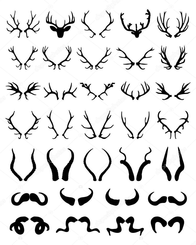Black silhouettes of different horns of deer, sheep, buffalo and antelopes