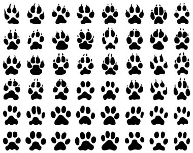 Beyaz arka planda köpek ve kedi pençelerinin siyah baskısı