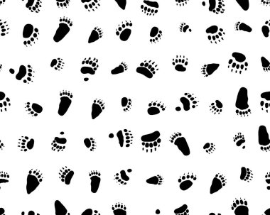 Ayıların beyaz arka planında kusursuz izler var.