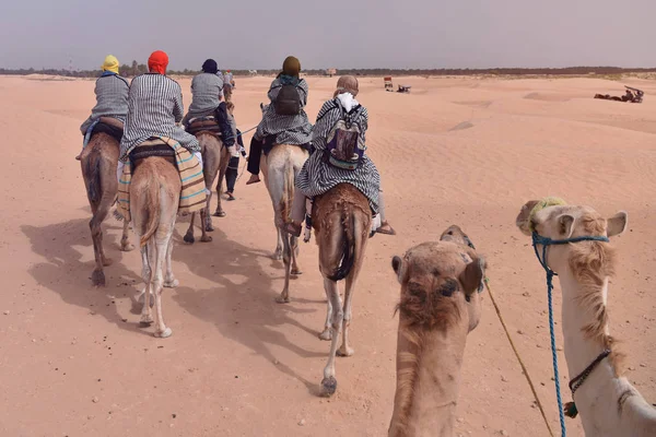 Caravana de camelos indo no deserto do Saara na Tunísia, África. Touris — Fotografia de Stock