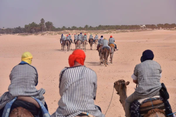 Caravana de camelos indo no deserto do Saara na Tunísia, África. Touris — Fotografia de Stock