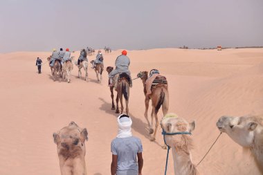 Tunus, Afrika'da Sahra Çölü'ne giden devekervanları. Touris